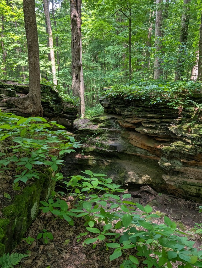 Ledges in the middle of the woods with an opening in the cliff; very liminal