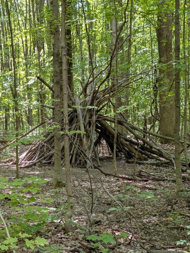 A large pile of sticks placed together to make a tent-shaped shelter.