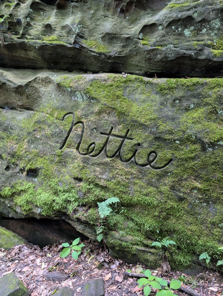 The name "Nettie" carved in the shape of absolutely beautiful cursive writing, considering it's in stone