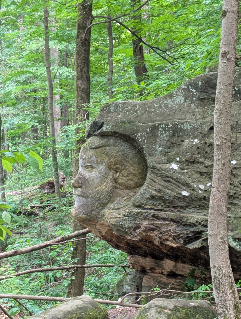 A stern face carved on the edge of a sandstone cliff, looking disapprovingly into the distance.