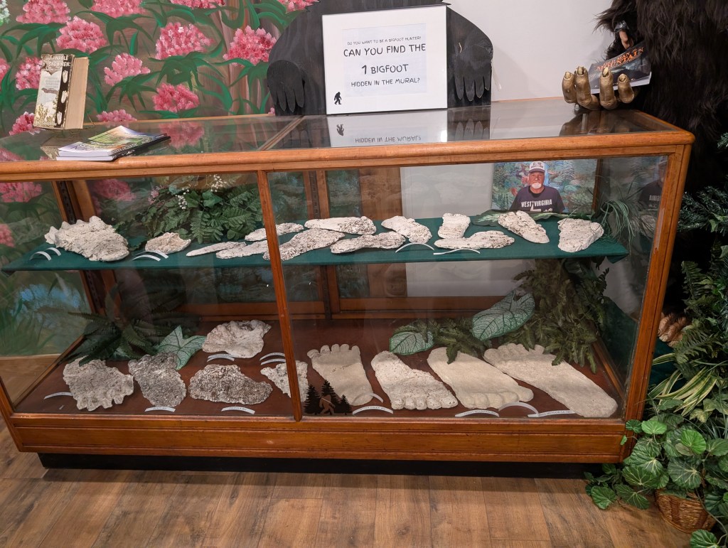 A large glass case filled with plaster casts that purport to be Bigfoot footprints.