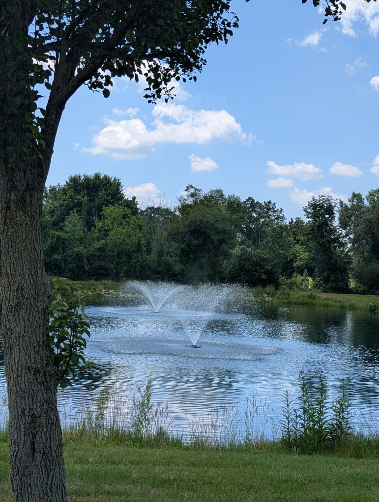 A pond with two fountains, one in the foreground and one in the background, both spraying. 