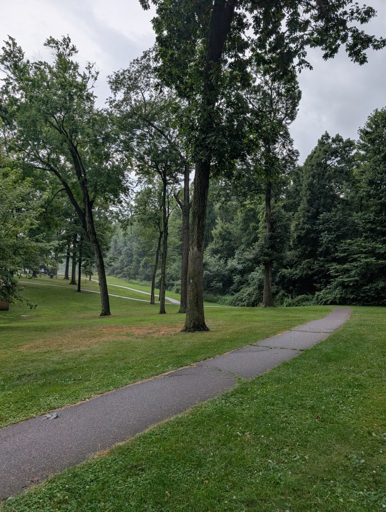 A concrete path stretches into the distance with very tall trees scattered around a green park. 