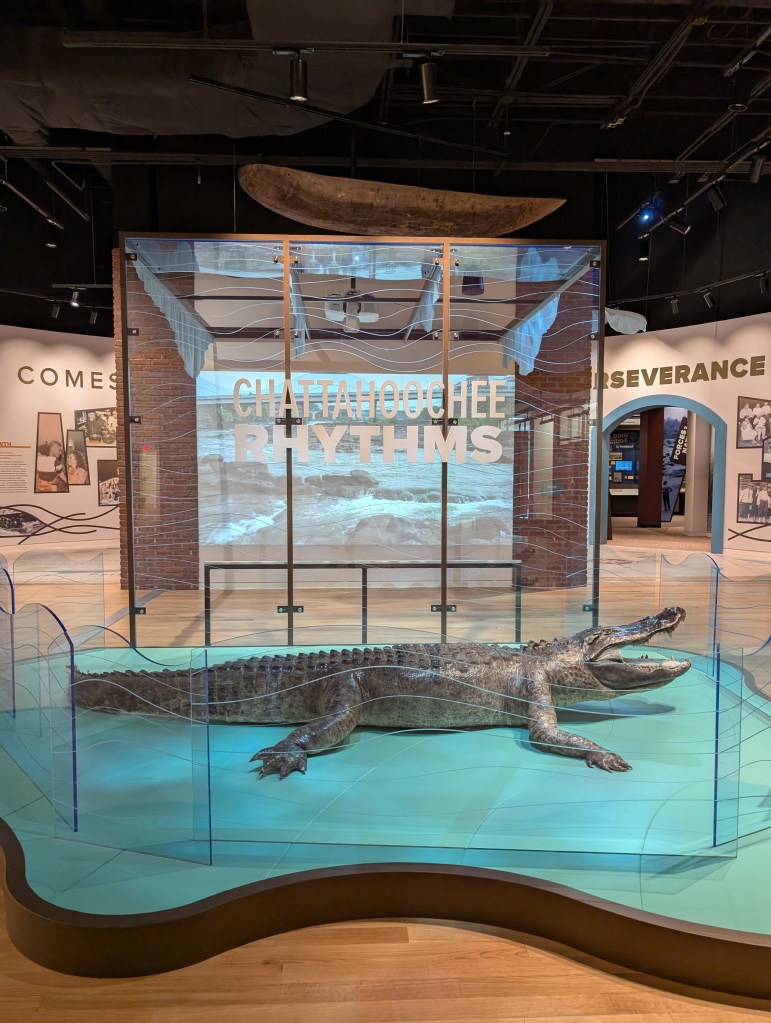 A large glass wall that says "Chattahoochee Rhythms" with a VERY large stuffed alligator in front of it