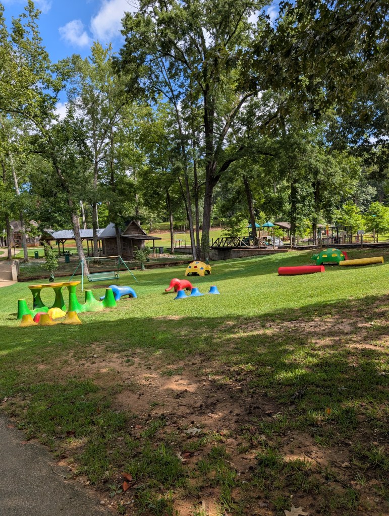A wide shot of a playground framed by tall green trees. The playground equipment is dated but still brightly colored.