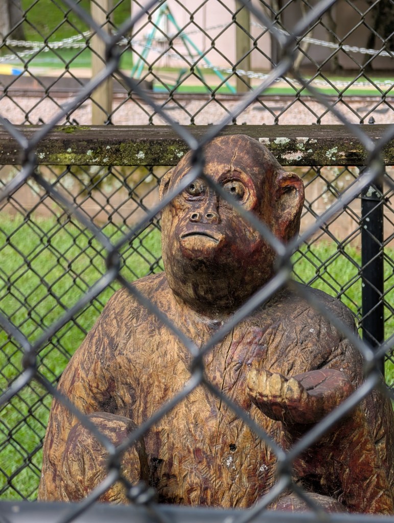 A carved monkey statue behind fencing. The monkey's face looks like has seen the horrors of war.