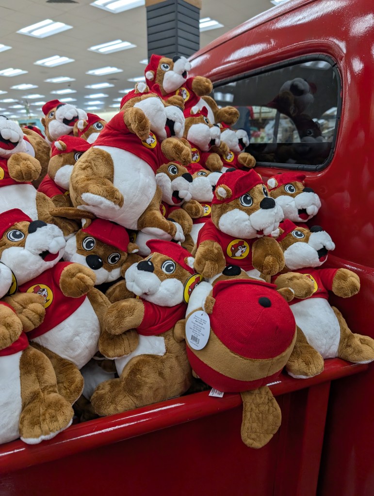 A red truck bed overflowing with stuffies of the Bucc-ee's mascot. The tails are clear on these so they are definitely beavers.