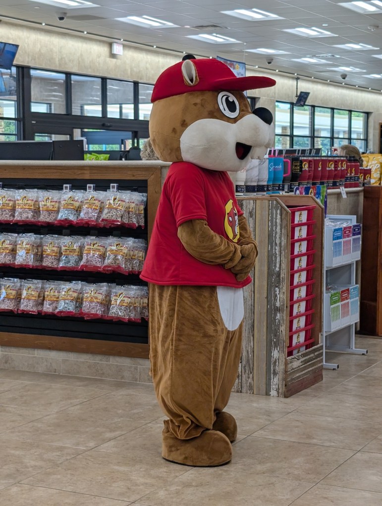A mascot costume of Bucc-ee, who is a beaver I guess although I don't see any tail on the costume.