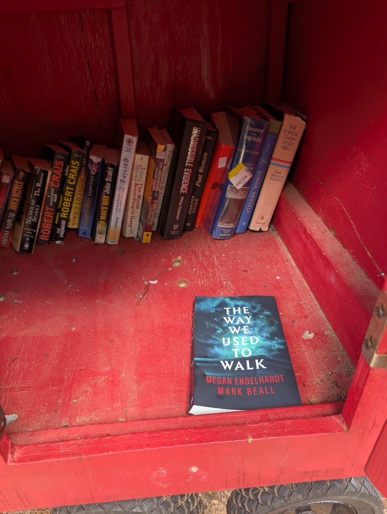 The inside of the red Little Free Library box showing a shelf of books and a copy of "The Way We Used to Walk" on the floor of the box.